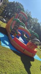 bouncyboyz20dolphin202 1773670130 20 foot dolphin